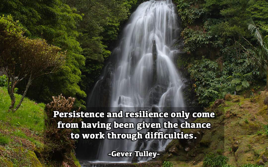 Cascading Persistence and Resilience