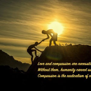 Cultivating Cultures of Compassion