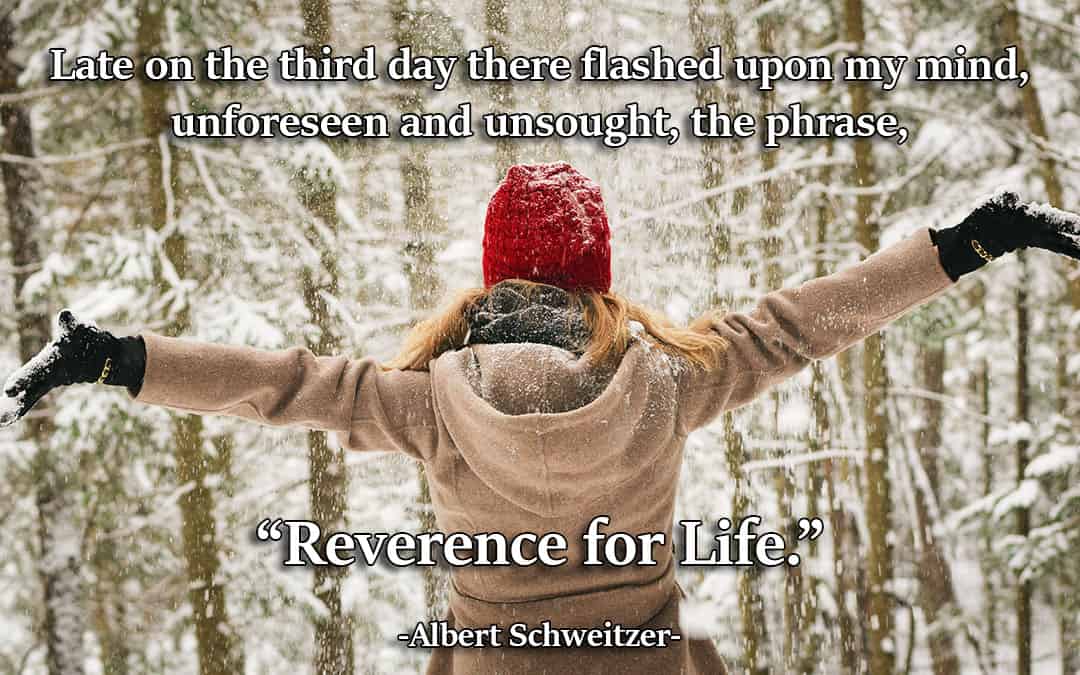 Reverence for Life?